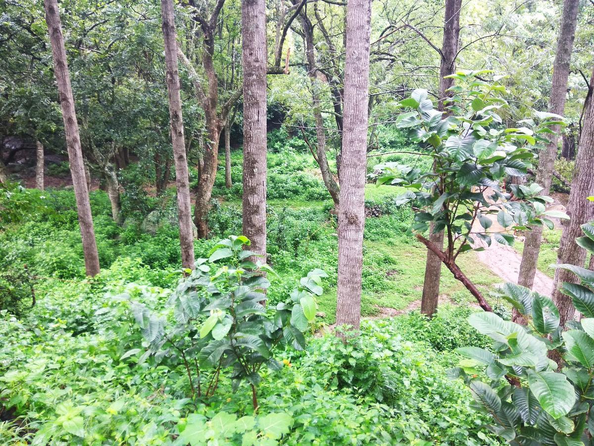 Secret Valley Jungle Resort Ooty Exteriör bild