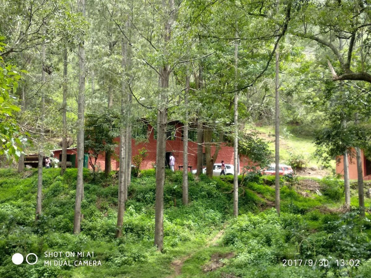 Secret Valley Jungle Resort Ooty Exteriör bild