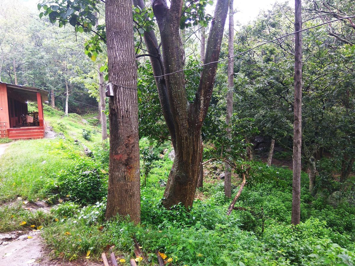 Secret Valley Jungle Resort Ooty Exteriör bild