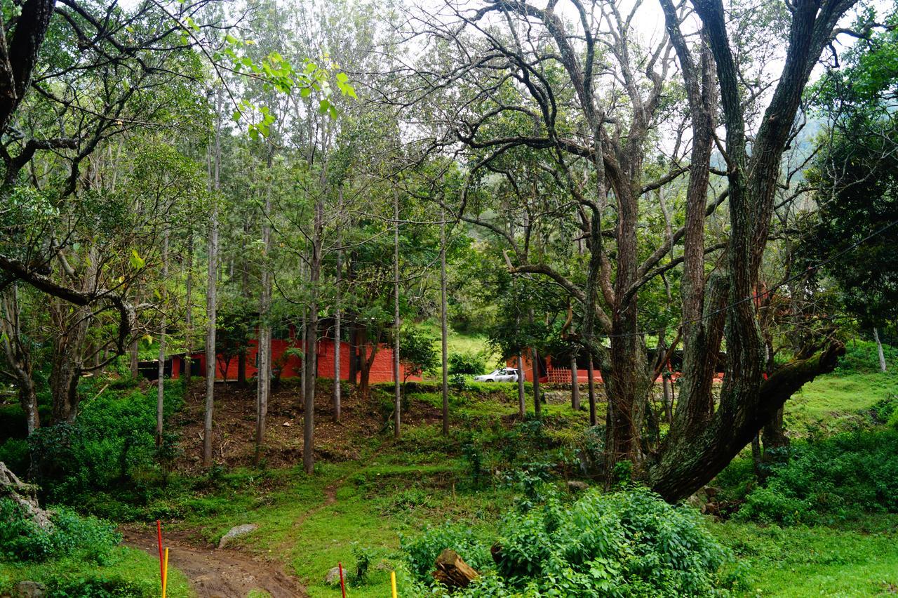 Secret Valley Jungle Resort Ooty Exteriör bild