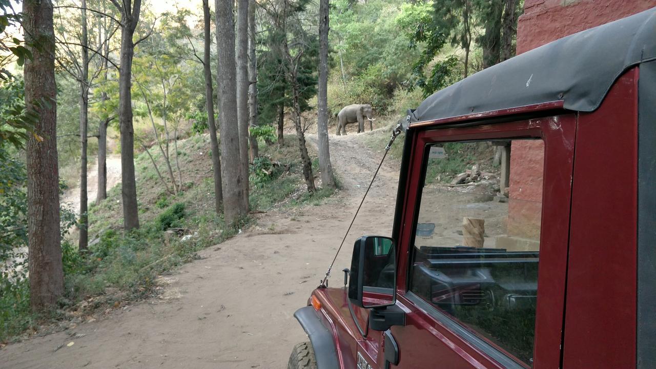 Secret Valley Jungle Resort Ooty Exteriör bild